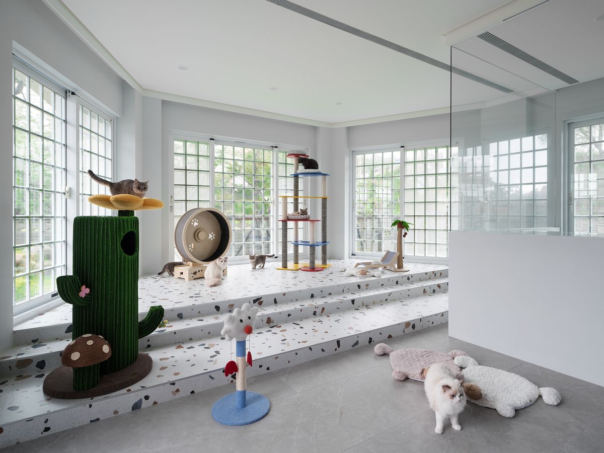 iF Design Award；國際獎項；星葉室內設計；寵物宅；透天厝；住宅空間
