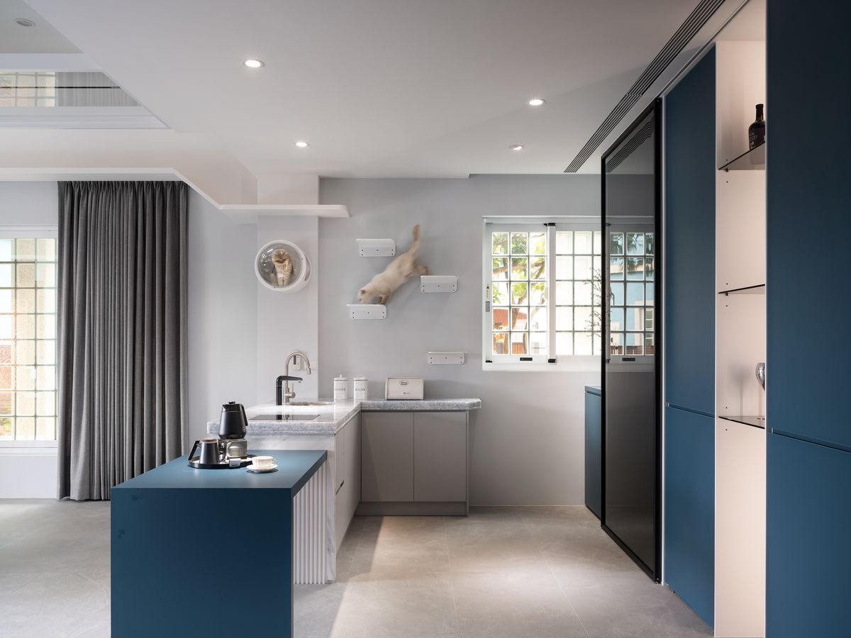 iF Design Award；國際獎項；星葉室內設計；寵物宅；透天厝；住宅空間