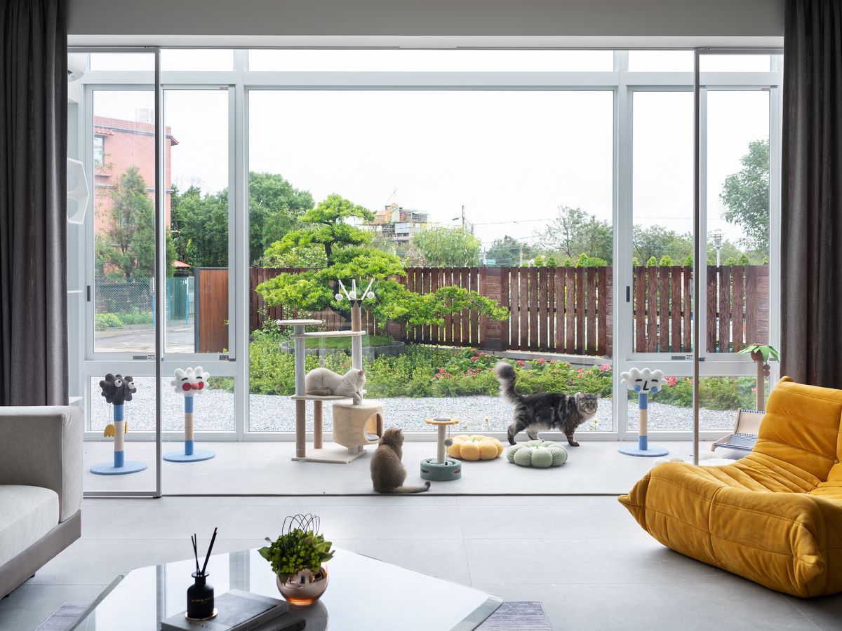 iF Design Award；國際獎項；星葉室內設計；寵物宅；透天厝；住宅空間