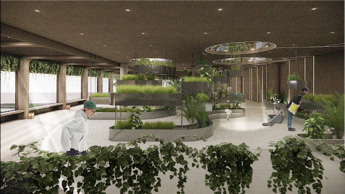 中國科大； 室設系；2025紐約建築設計獎